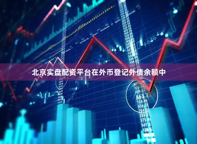 北京实盘配资平台在外币登记外债余额中