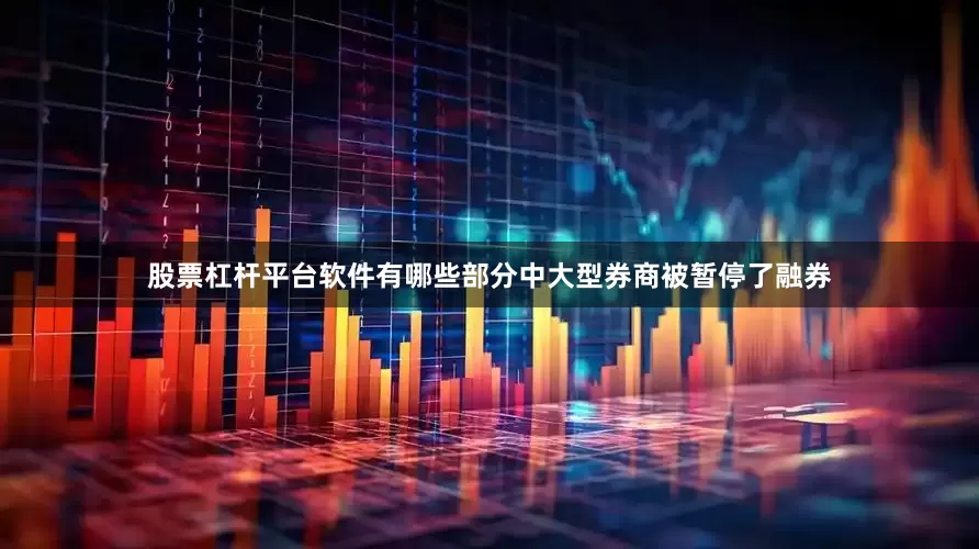 股票杠杆平台软件有哪些部分中大型券商被暂停了融券