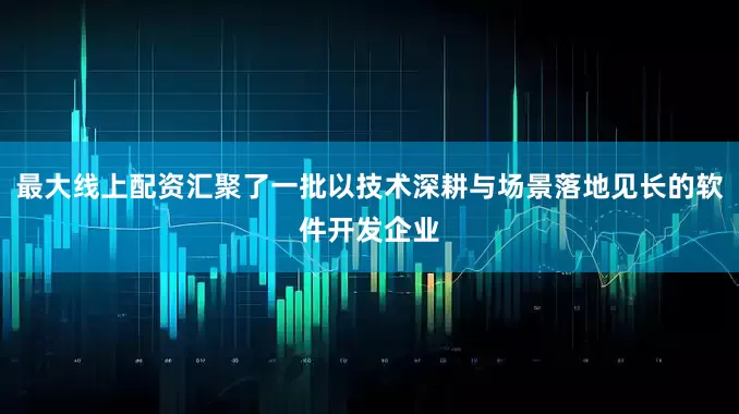 最大线上配资汇聚了一批以技术深耕与场景落地见长的软件开发企业